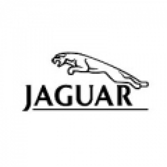 Jaguar_400-120x120-550x550